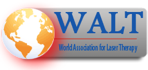 WALT Logo